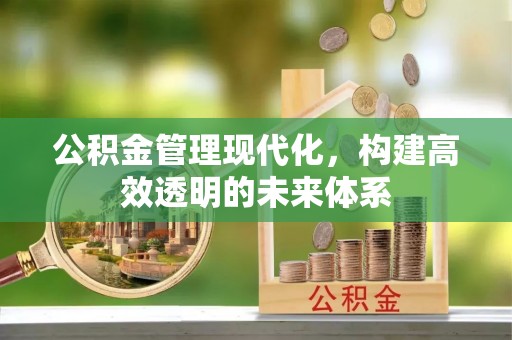 兰州公积金管理现代化，构建高效透明的未来体系