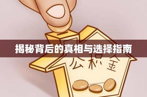 兰州揭秘背后的真相与选择指南